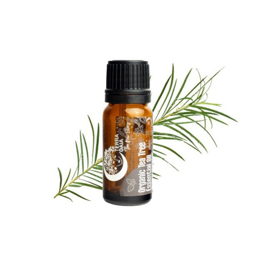 Terra Gaia Organic Tea Tree Essential Oil