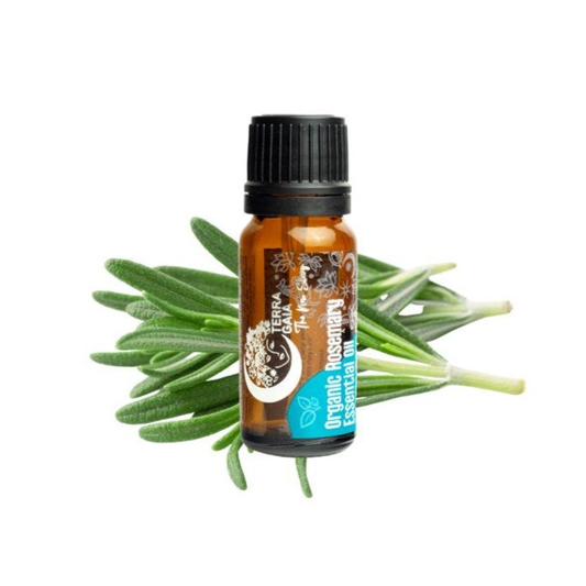 Terra Gaia Organic Rosemary Essential Oil